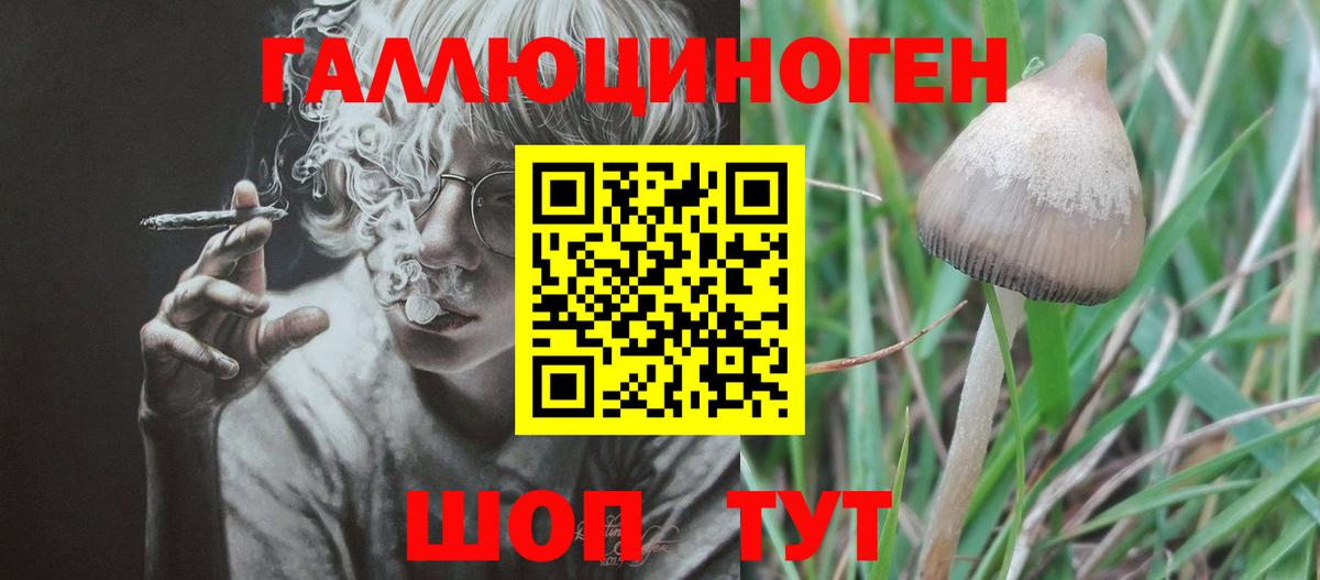 Галлюциногенные грибы Psilocybine cubensis Екатеринбург