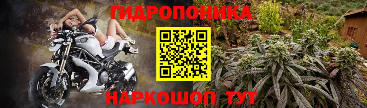 Конопля марихуана Екатеринбург
